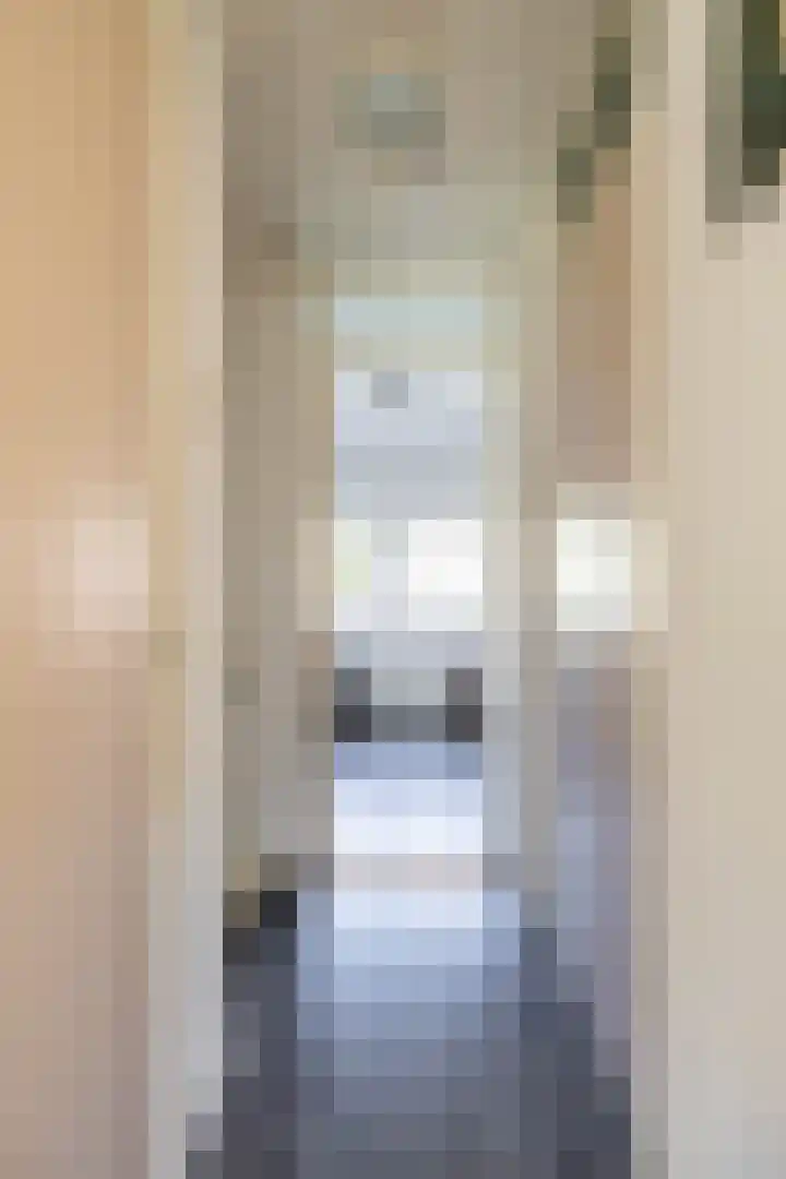 Veltenburgerdijk 26 Vries thumbnail 27