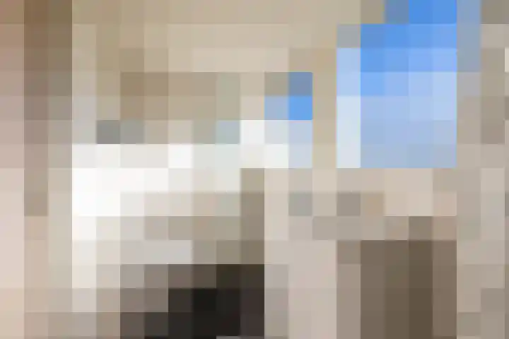 Veltenburgerdijk 26 Vries thumbnail 29