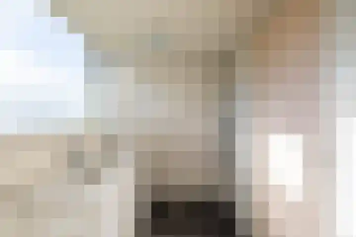 Veltenburgerdijk 26 Vries thumbnail 30