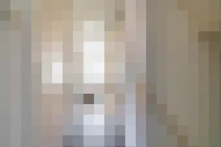 Veltenburgerdijk 26 Vries thumbnail 34