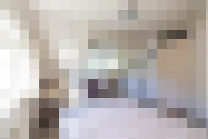 Veltenburgerdijk 26 Vries thumbnail 36