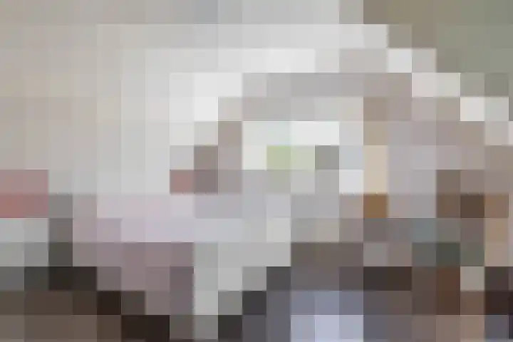 Veltenburgerdijk 26 Vries thumbnail 38