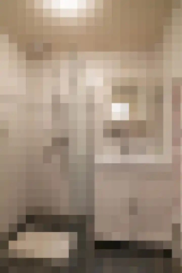 Veltenburgerdijk 26 Vries thumbnail 4