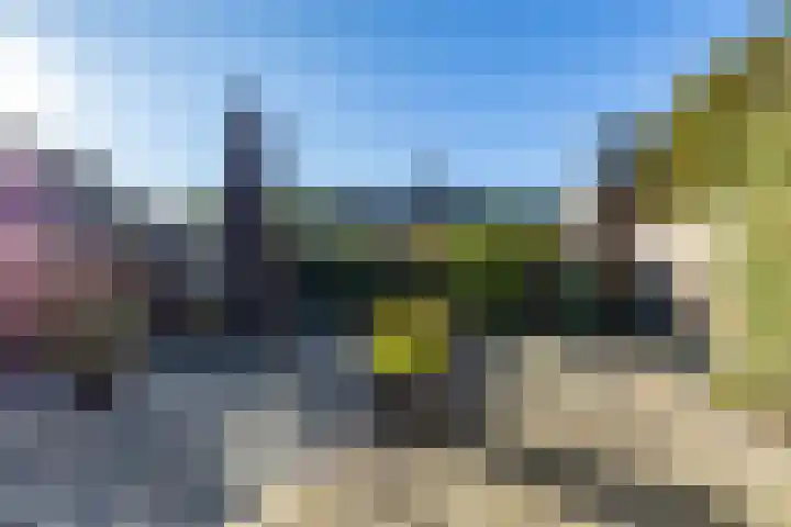 Veltenburgerdijk 26 Vries thumbnail 40