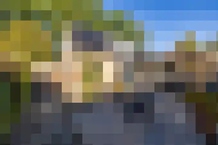 Veltenburgerdijk 26 Vries thumbnail 41