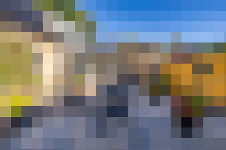 Veltenburgerdijk 26 Vries thumbnail 42