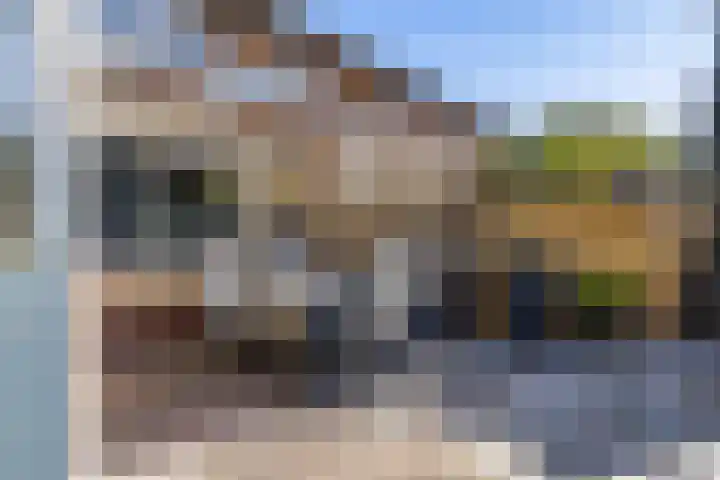 Veltenburgerdijk 26 Vries thumbnail 43