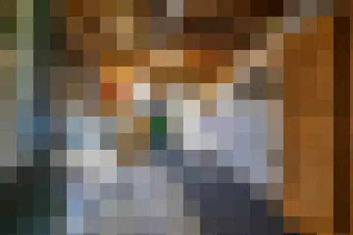 Veltenburgerdijk 26 Vries thumbnail 44