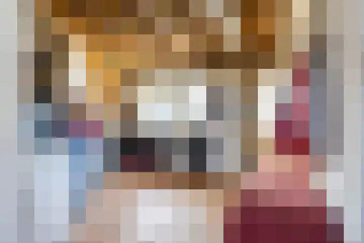 Veltenburgerdijk 26 Vries thumbnail 45