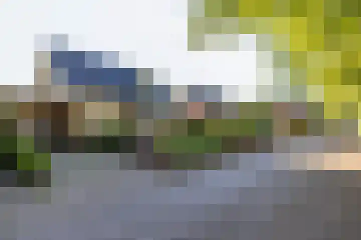 Veltenburgerdijk 26 Vries thumbnail 6