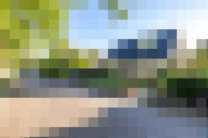 Veltenburgerdijk 26 Vries thumbnail 8