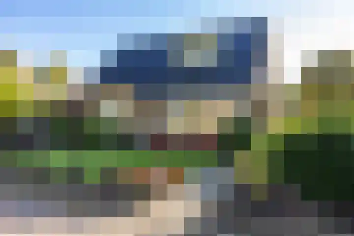 Veltenburgerdijk 26 Vries thumbnail 9