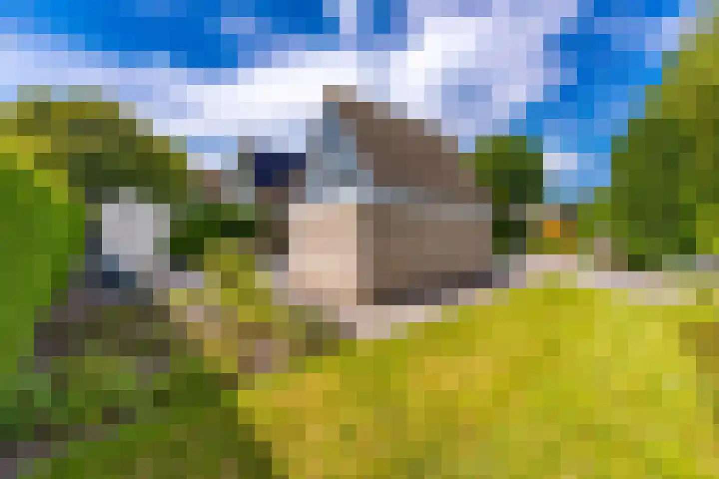 Velthoek 6 Veendam thumbnail 34