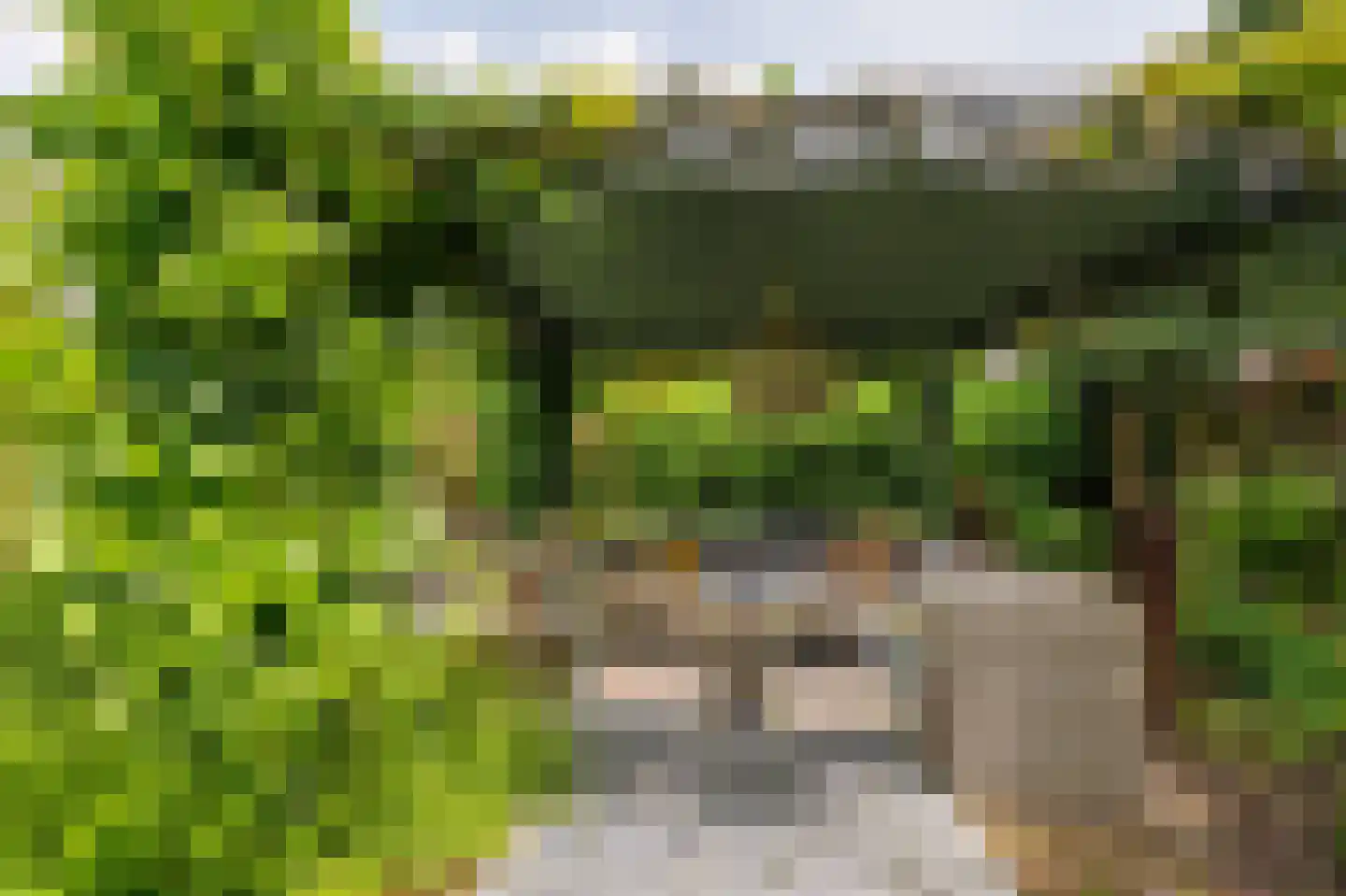 Velthuijsenlaan 13 Laren thumbnail 24