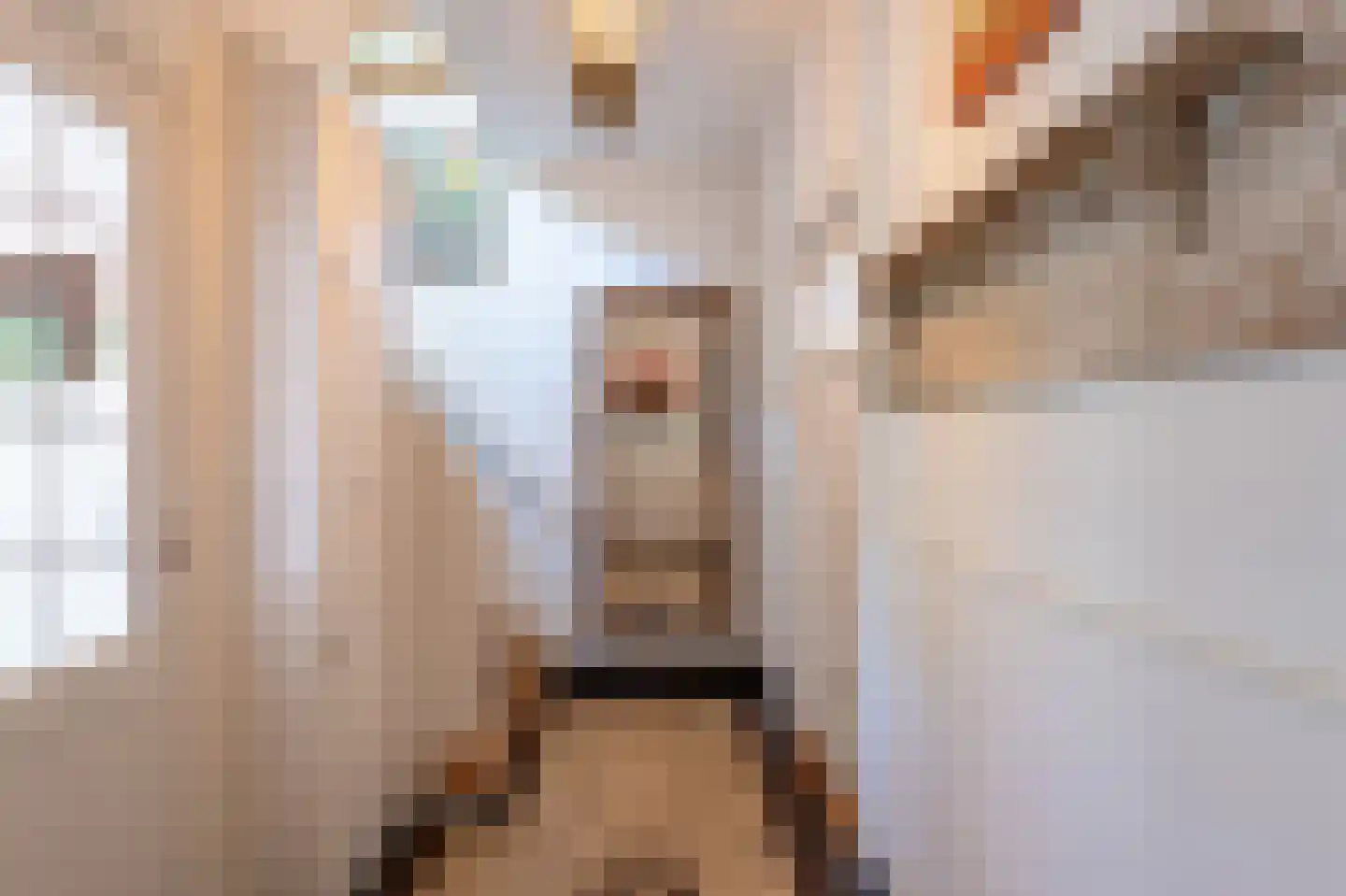 Velthuijsenlaan 13 Laren thumbnail 4