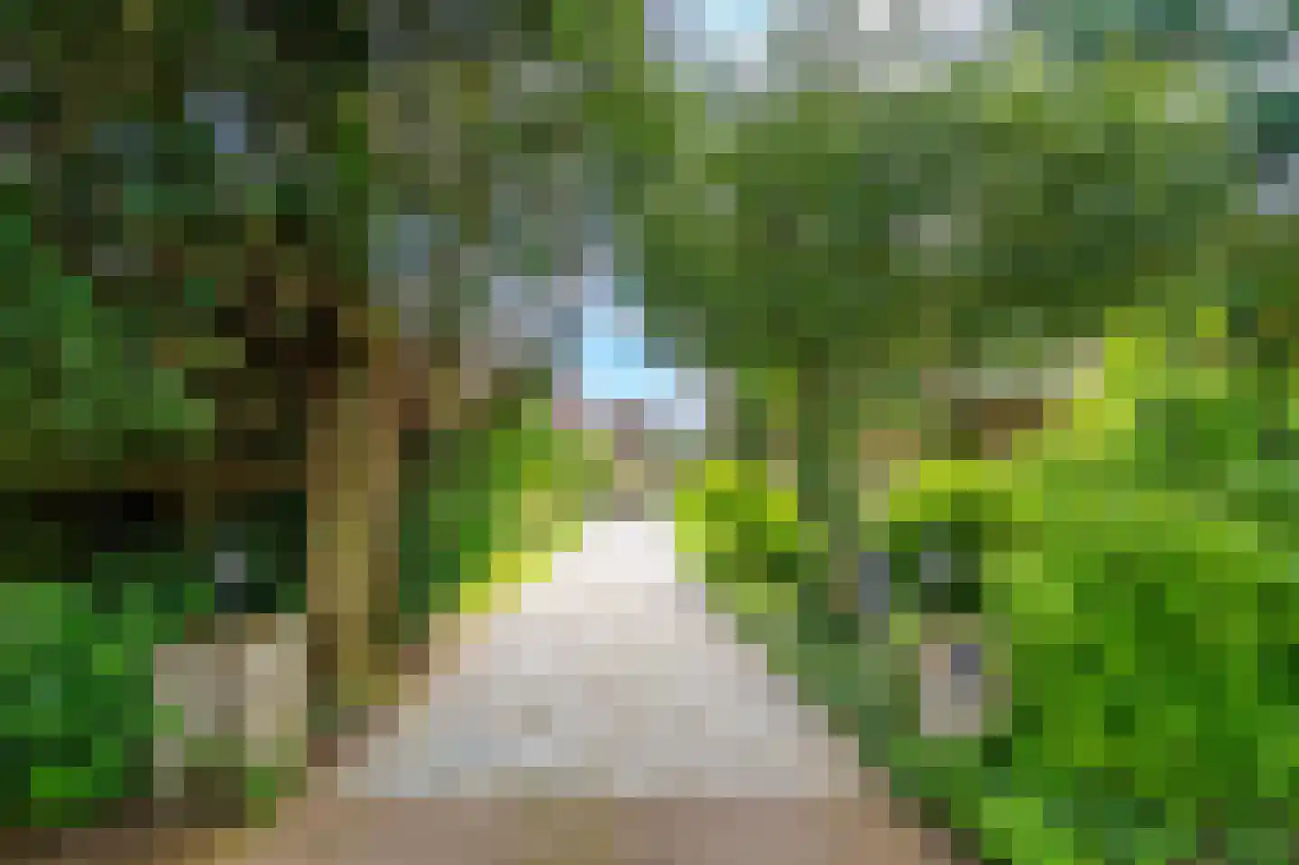 Velthuijsenlaan 13 Laren thumbnail 42
