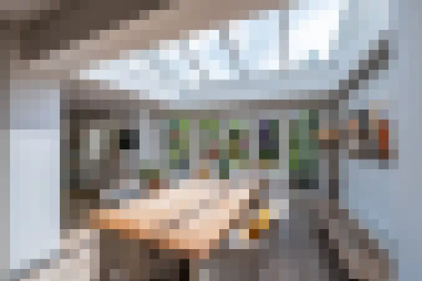 Velthuijsenlaan 13 Laren thumbnail 5