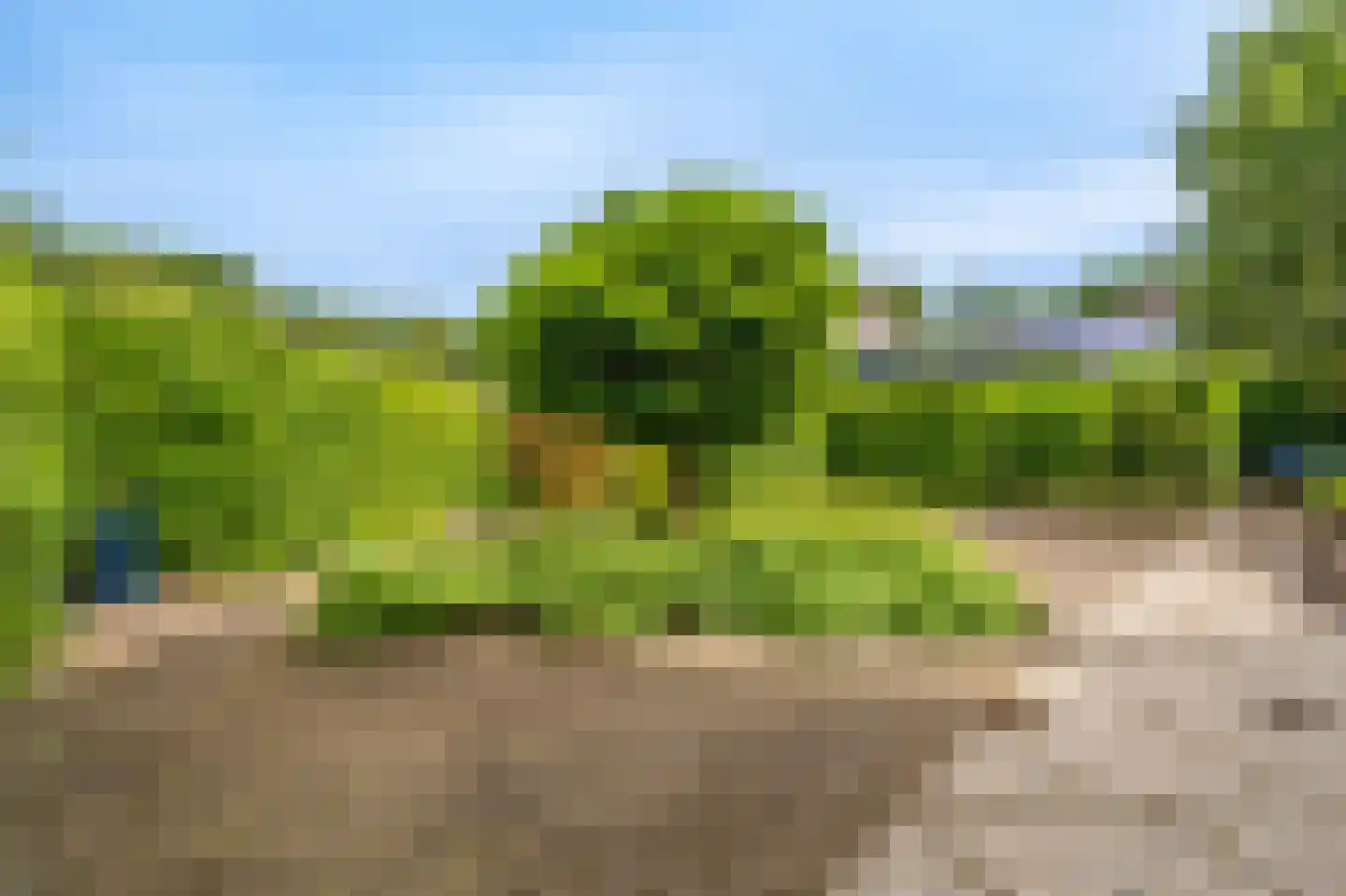 Veltkeweg 5 Sellingen thumbnail 10