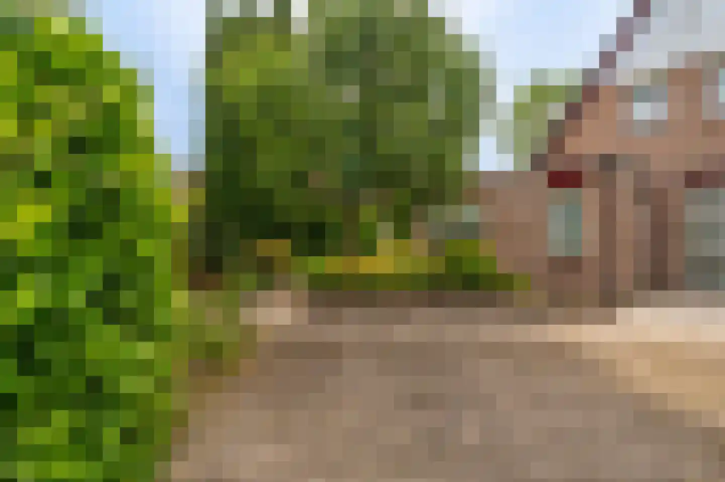 Veltkeweg 5 Sellingen thumbnail 12