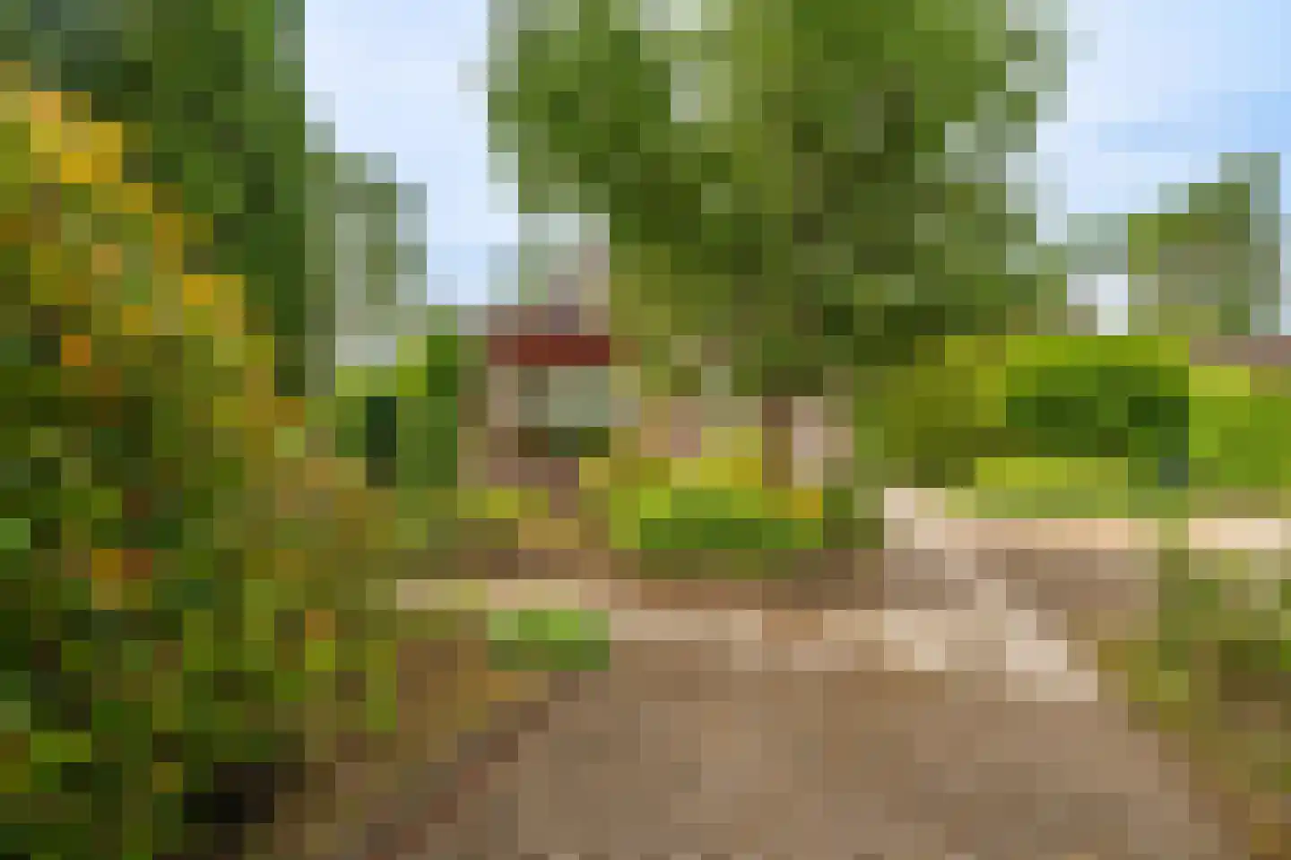 Veltkeweg 5 Sellingen thumbnail 14
