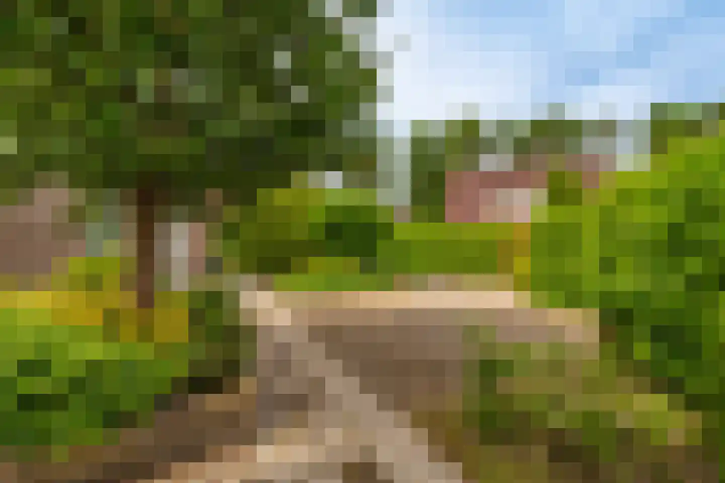 Veltkeweg 5 Sellingen thumbnail 15