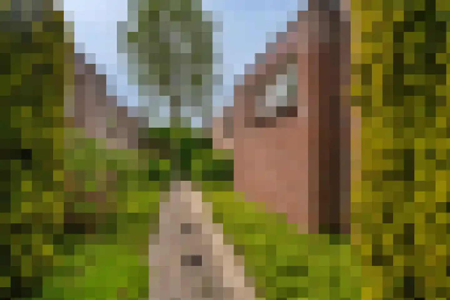 Veltkeweg 5 Sellingen thumbnail 16