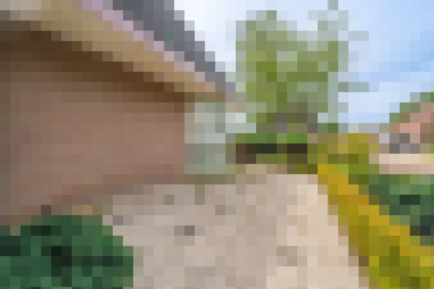 Veltkeweg 5 Sellingen thumbnail 9