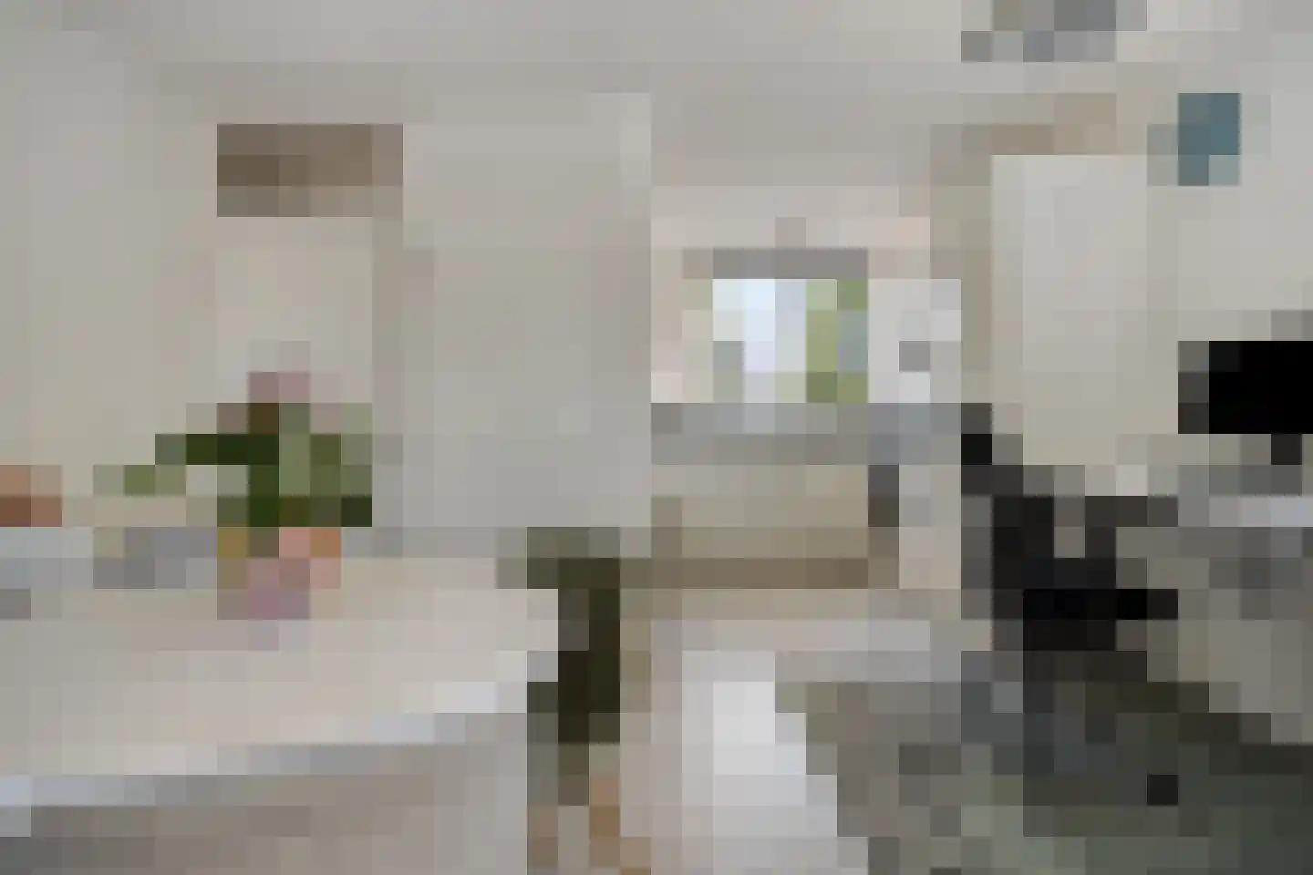 Veltmanhofke 9 Jirnsum thumbnail 12