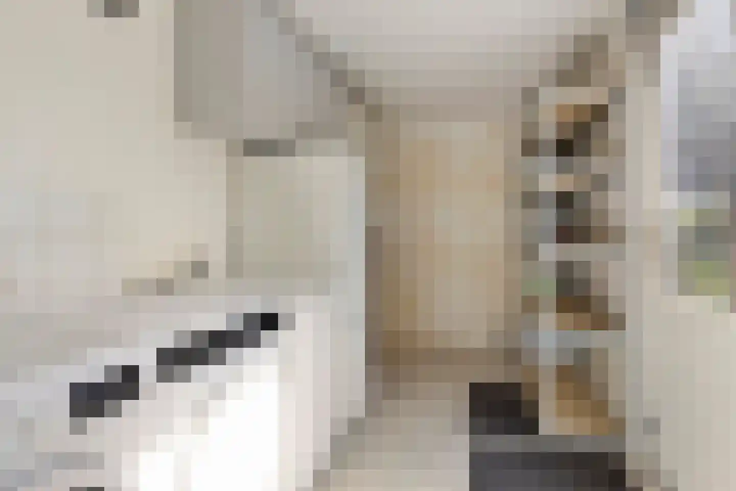 Veltmanhofke 9 Jirnsum thumbnail 15
