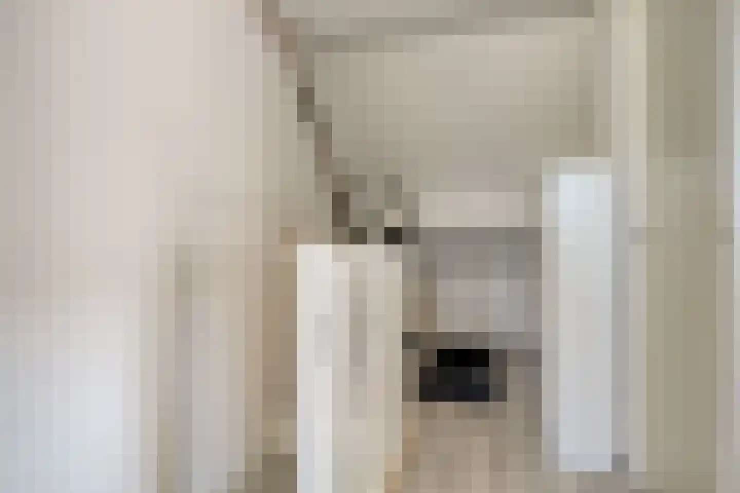 Veltmanhofke 9 Jirnsum thumbnail 19