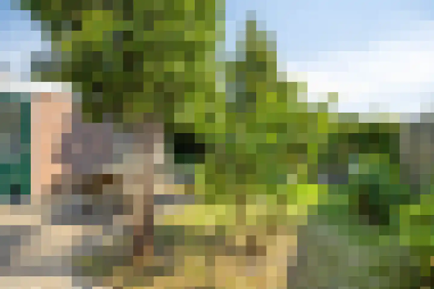 Veltmanhofke 9 Jirnsum thumbnail 29