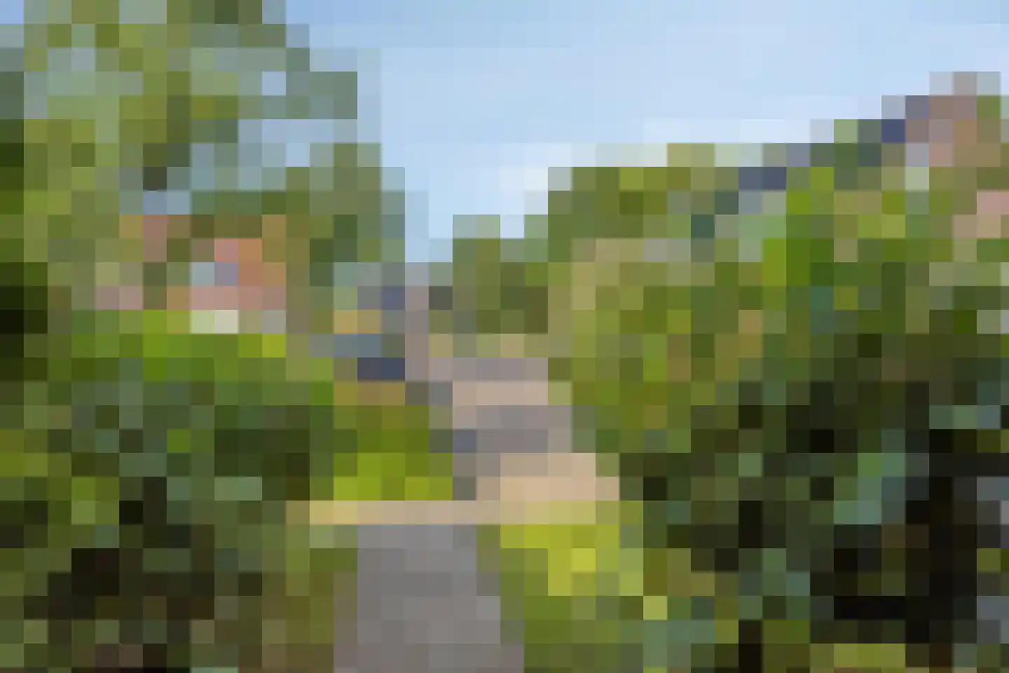 Veltmanhofke 9 Jirnsum thumbnail 33