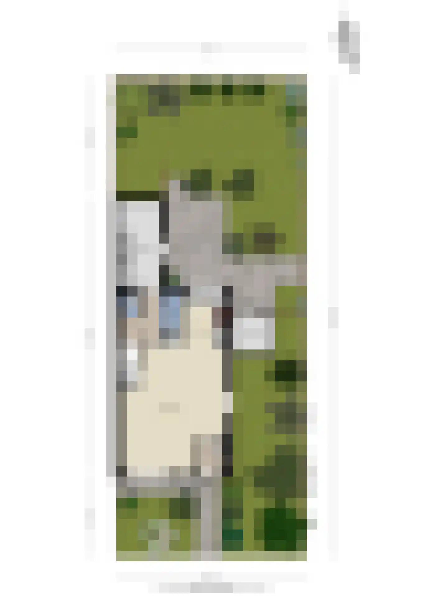 Veltmanhofke 9 Jirnsum thumbnail 36
