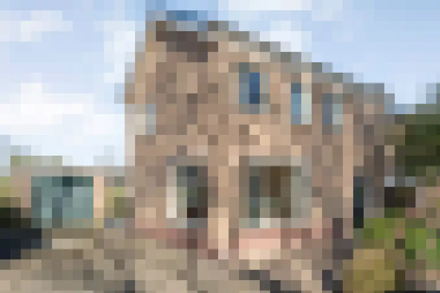 Veltmanlaan 17 Weiteveen thumbnail 5
