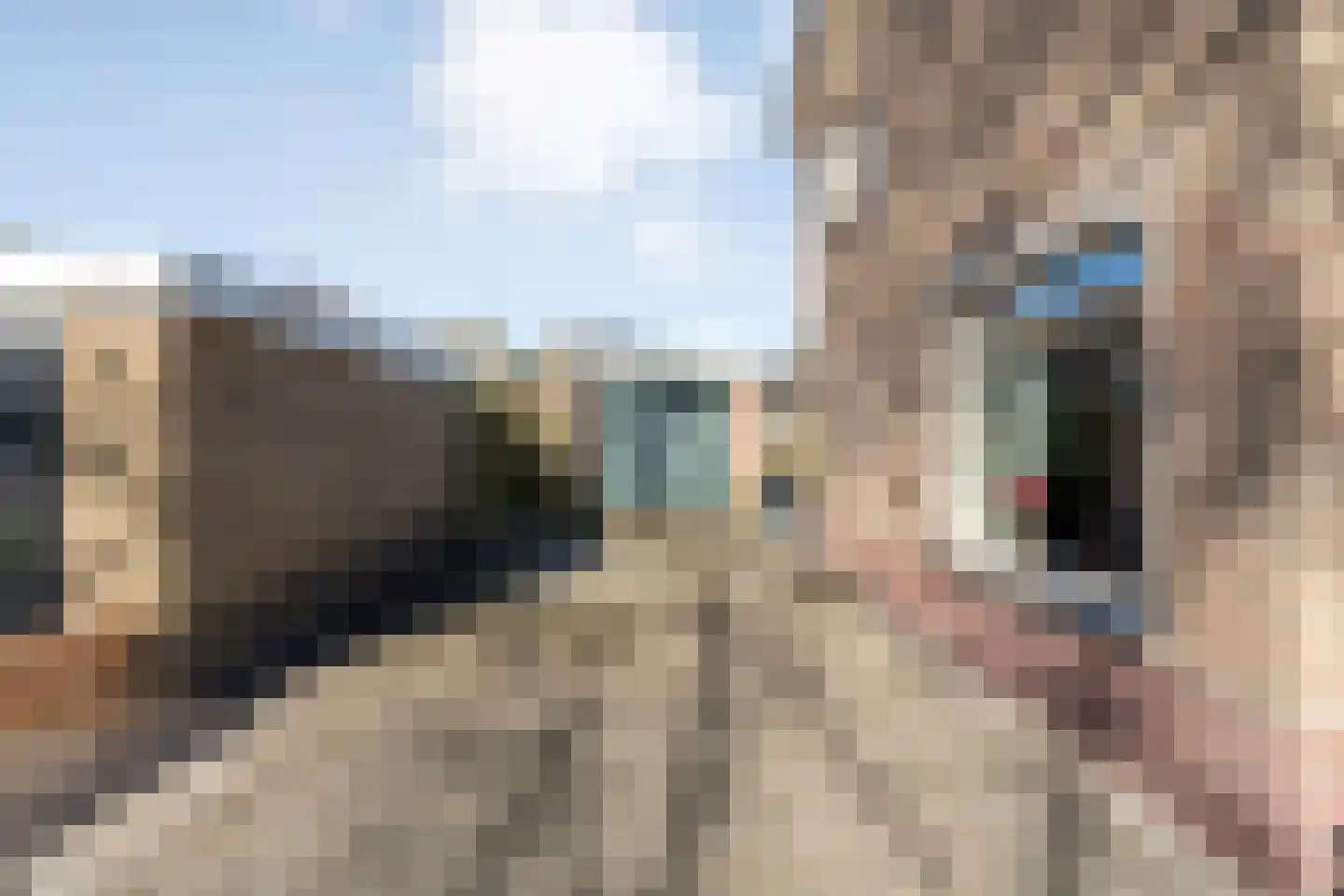 Veltmanlaan 17 Weiteveen thumbnail 6