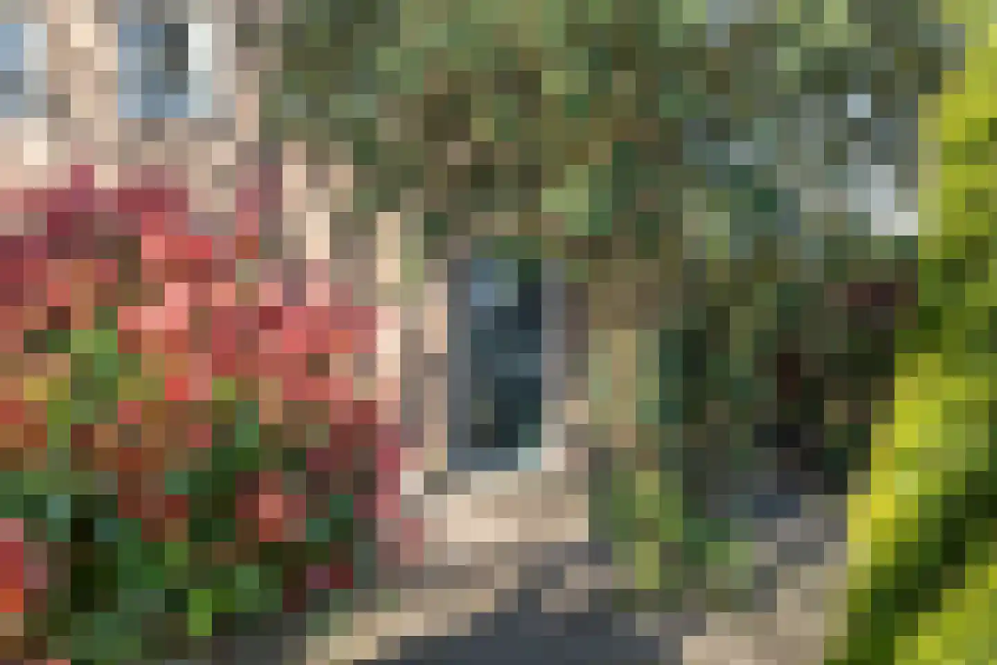 Veltmanlaan 17 Weiteveen thumbnail 8