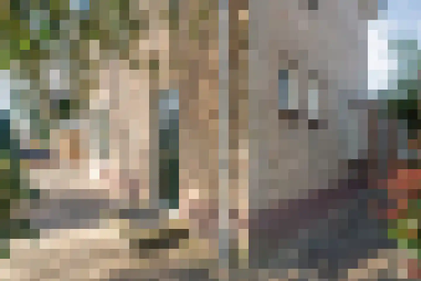 Veltmanlaan 17 Weiteveen thumbnail 9