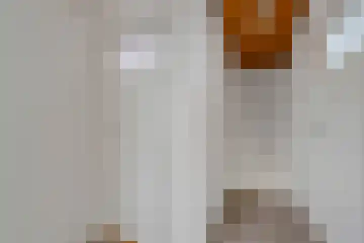 Veltmanlaan 21 Weiteveen thumbnail 18