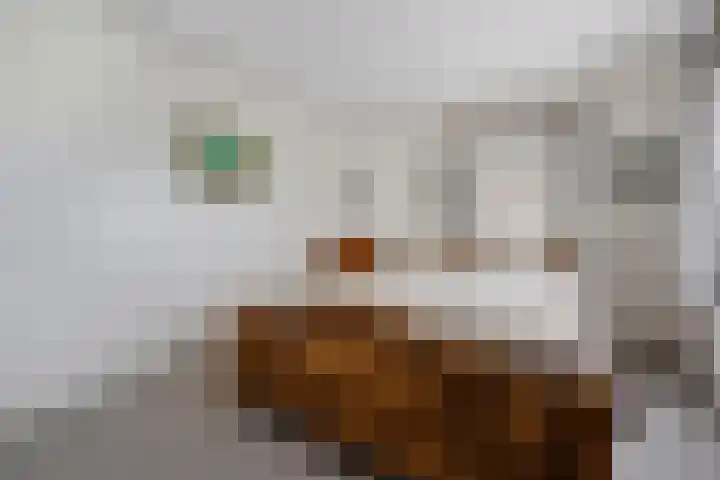 Veltmanlaan 21 Weiteveen thumbnail 21