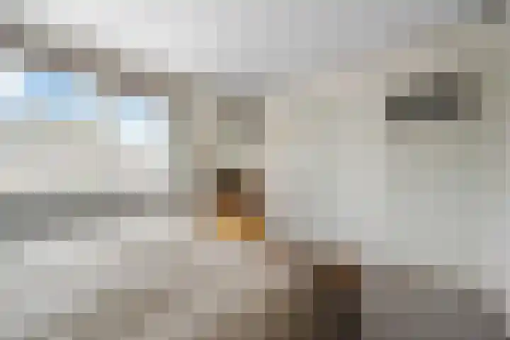 Veltmanlaan 21 Weiteveen thumbnail 22