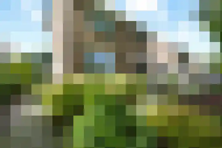 Veltmanlaan 21 Weiteveen thumbnail 35