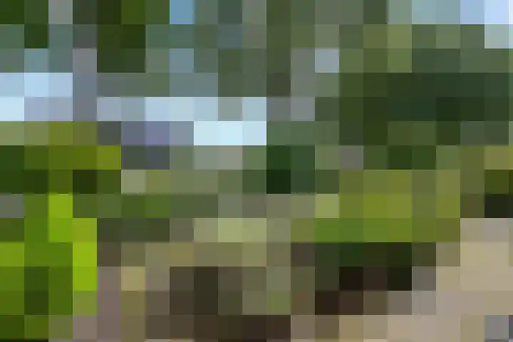 Veltmanlaan 21 Weiteveen thumbnail 36