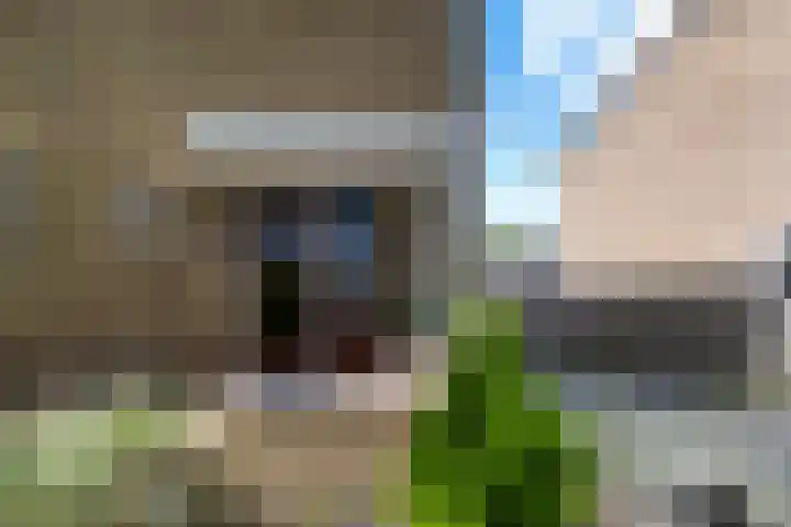 Veltmanlaan 21 Weiteveen thumbnail 37