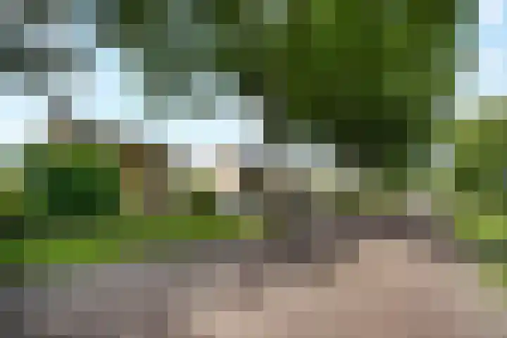 Veltmanlaan 21 Weiteveen thumbnail 39