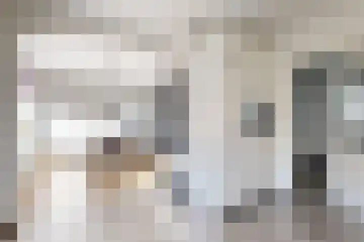 Veltstraat 12 Zevenbergen thumbnail 19