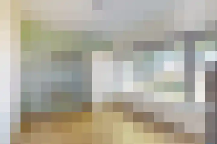 Veltstraat 12 Zevenbergen thumbnail 33