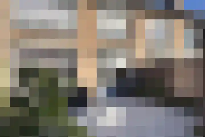 Veltstraat 12 Zevenbergen thumbnail 43