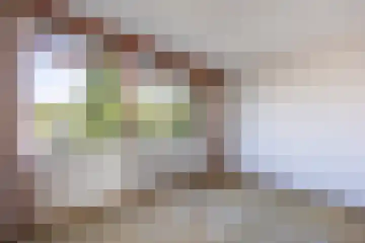 Veltumse Kleffen 36 Venray thumbnail 16