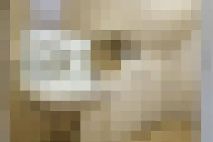 Veluviaweg 13 Wageningen thumbnail 23