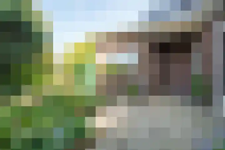 Veluviaweg 13 Wageningen thumbnail 24